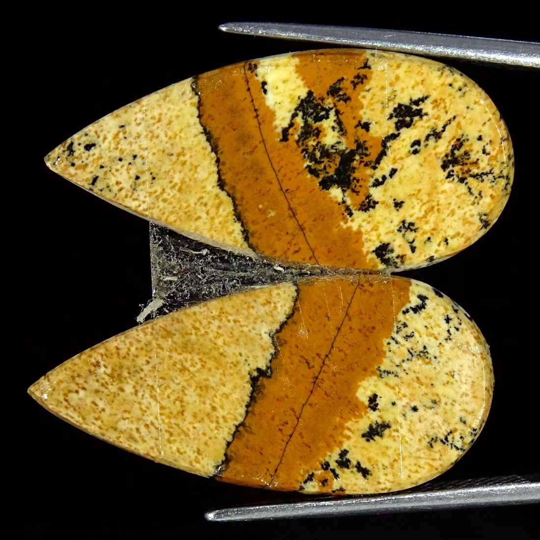 19.10Cts Natural Picture Jasper Cabochon Loose Gemstone Pair 12x26x4mm Pear