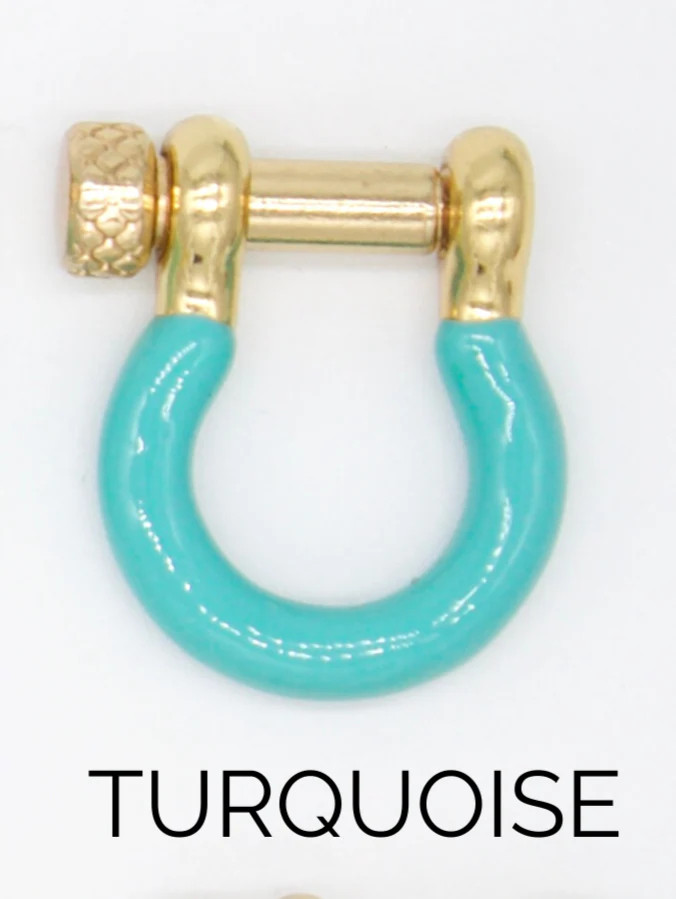Enamel Colored Carabiner (XX14)