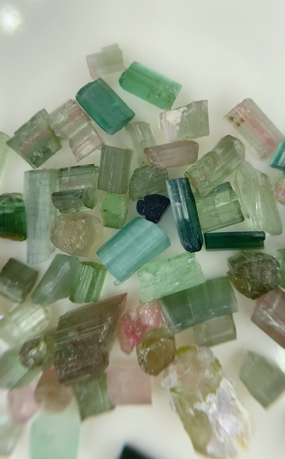 55.8 Ct Natural Afghanistan Multi Color Tourmaline Rough Crystal Gemstone Lot