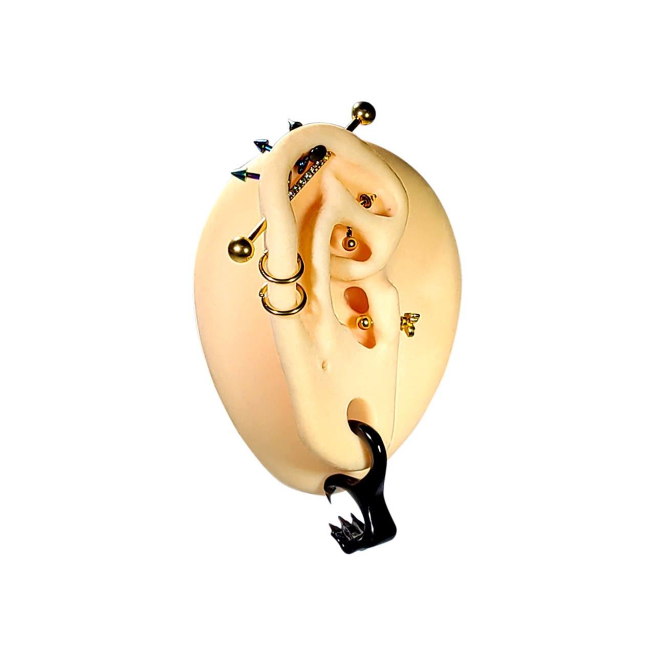 Organic Bone Ear Tapers 6g Claw Talon Design – Sold as a pair
