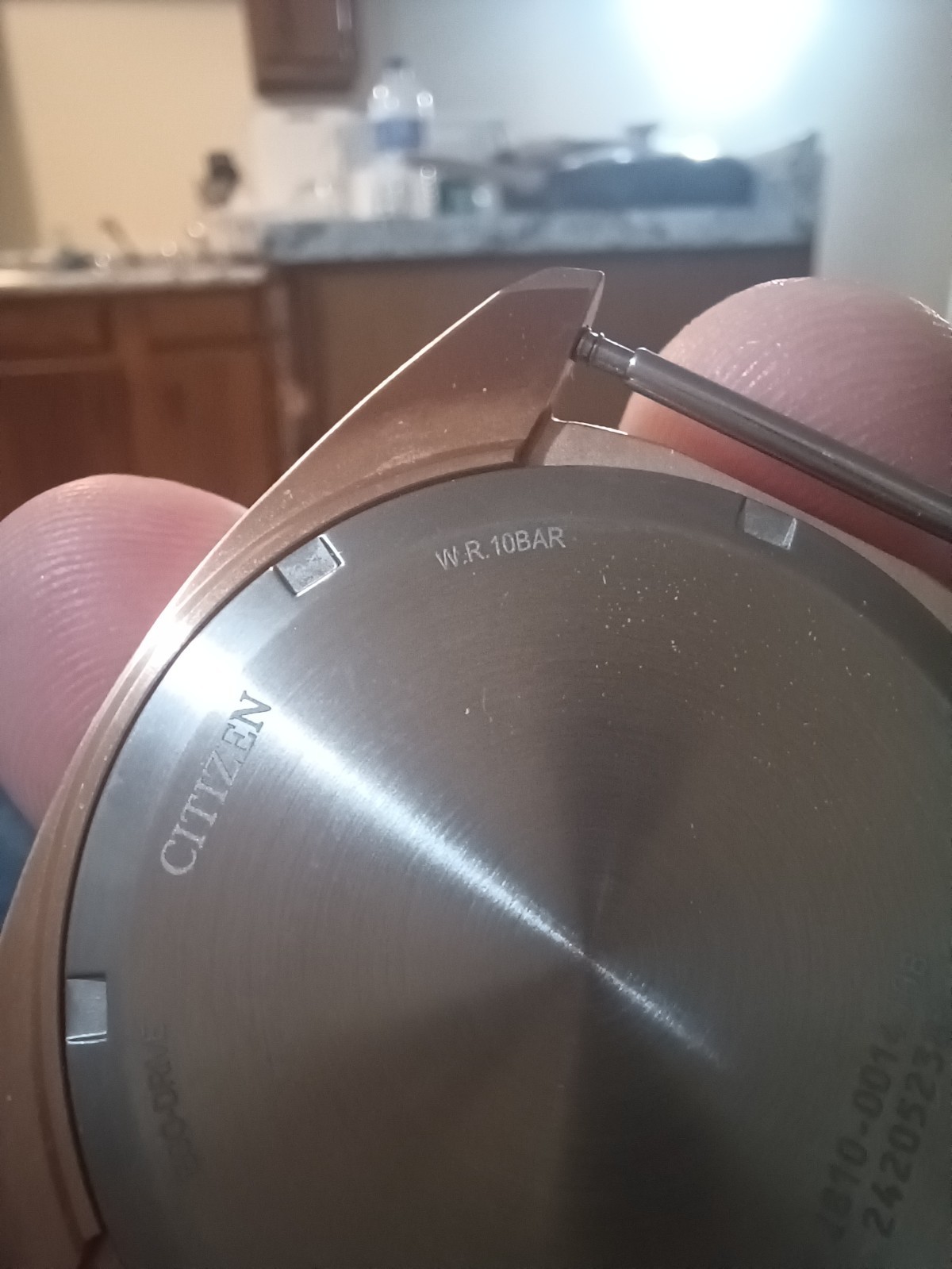 Citizen Endicott used