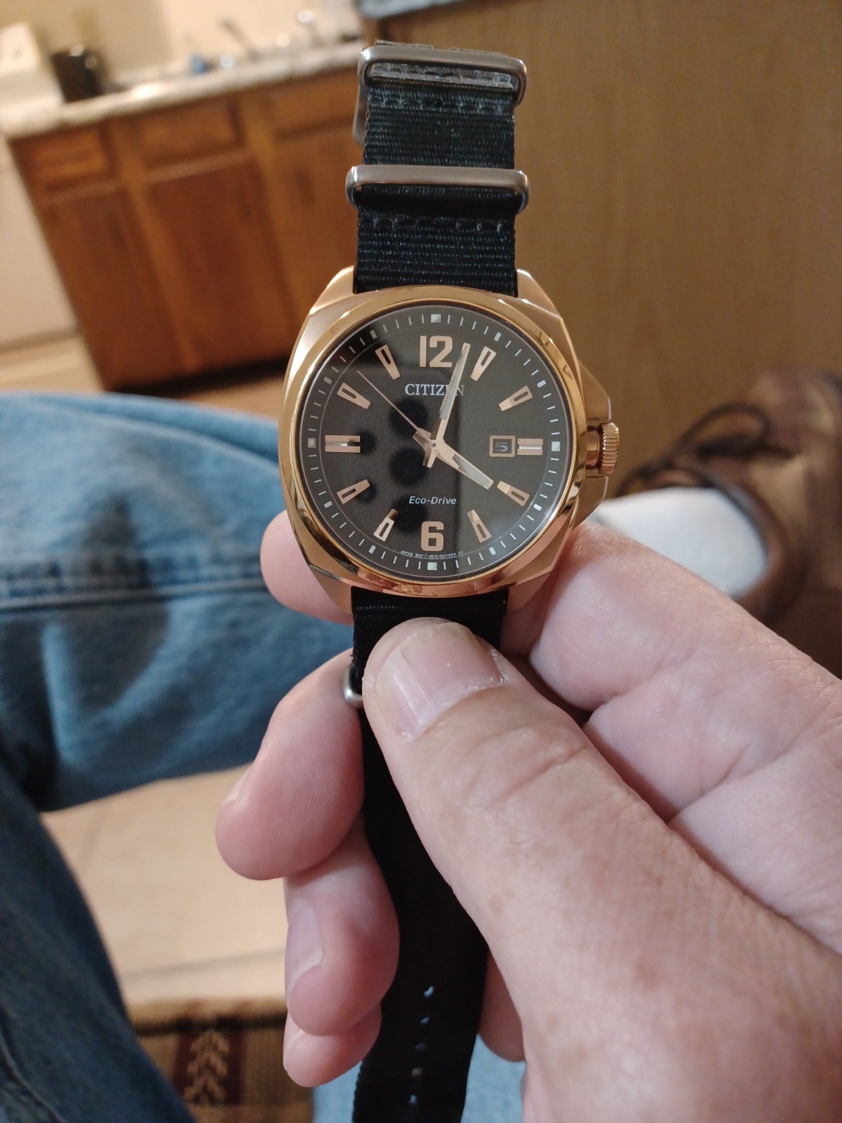 Citizen Endicott used
