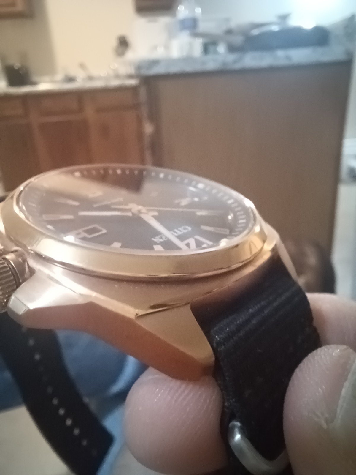 Citizen Endicott used
