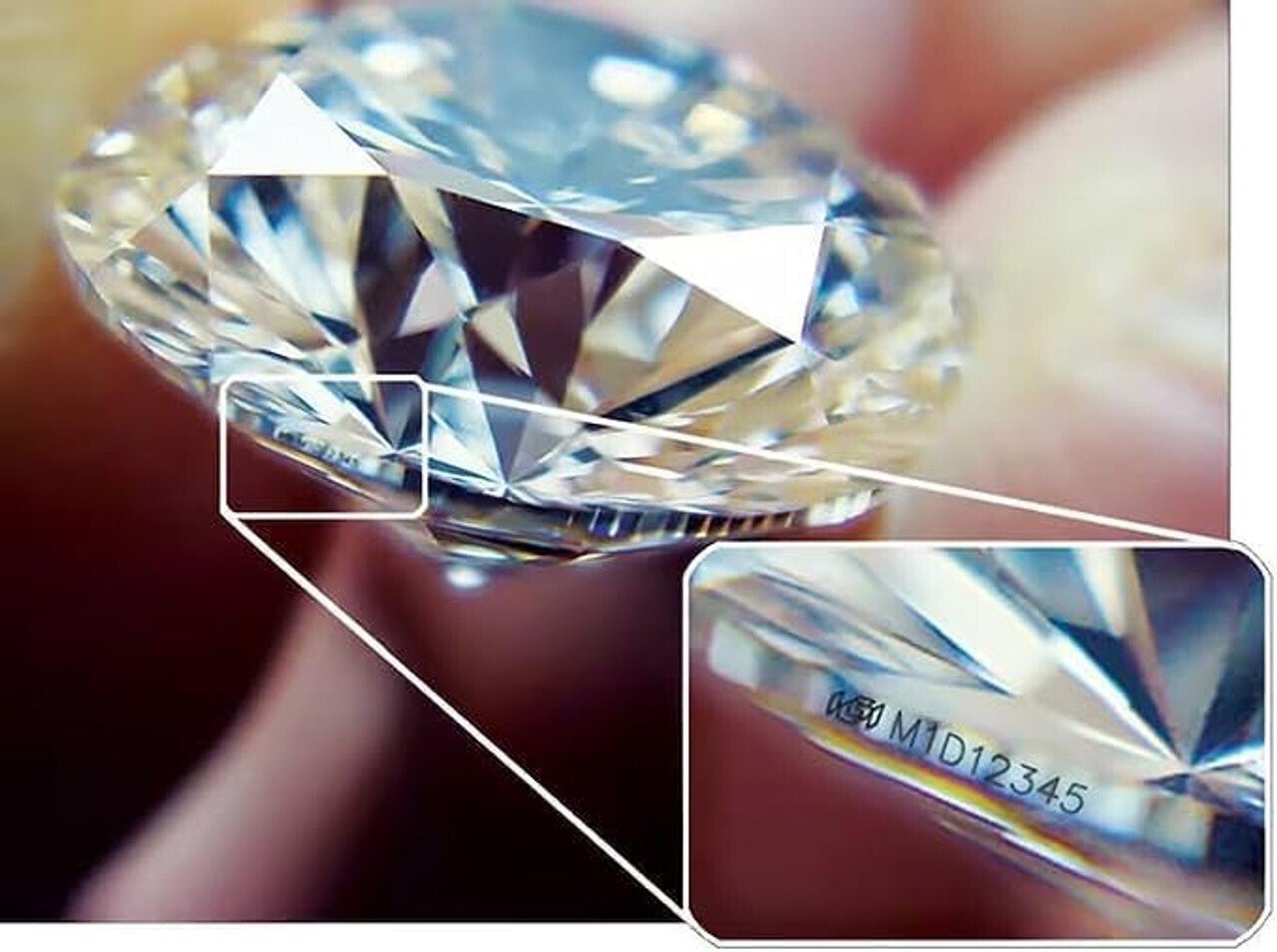 3.00 Ct D VVS2 Round Lab Grown 14k Diamond Stud Martini Earrings IGI Certified