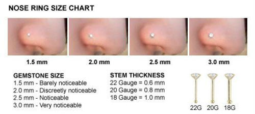 Nose Ring Stainless Steel Bone Stud with 2MM Rhinestone