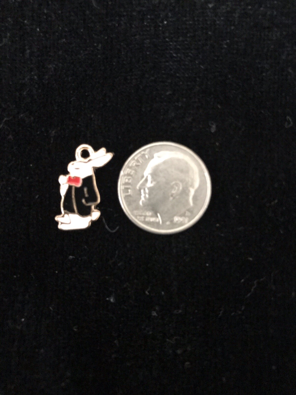 Dressed Up bunny Special Occasion enamel Pendant charm or Necklace Charm