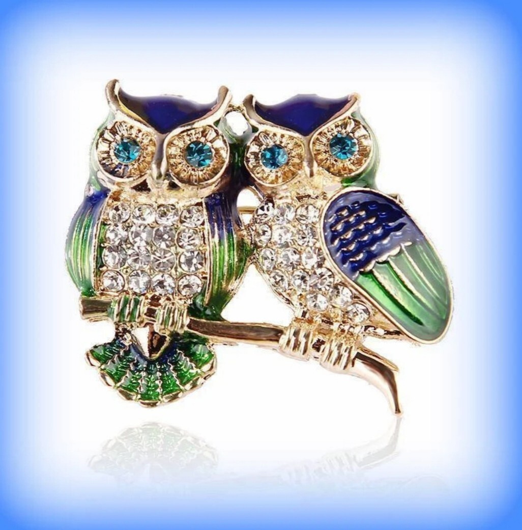 CUTE ENAMEL RHINESTONE OWL BIRD BROOCH PIN~MOTHERS DAY BIRTHDAY GIFT FOR HER MOM
