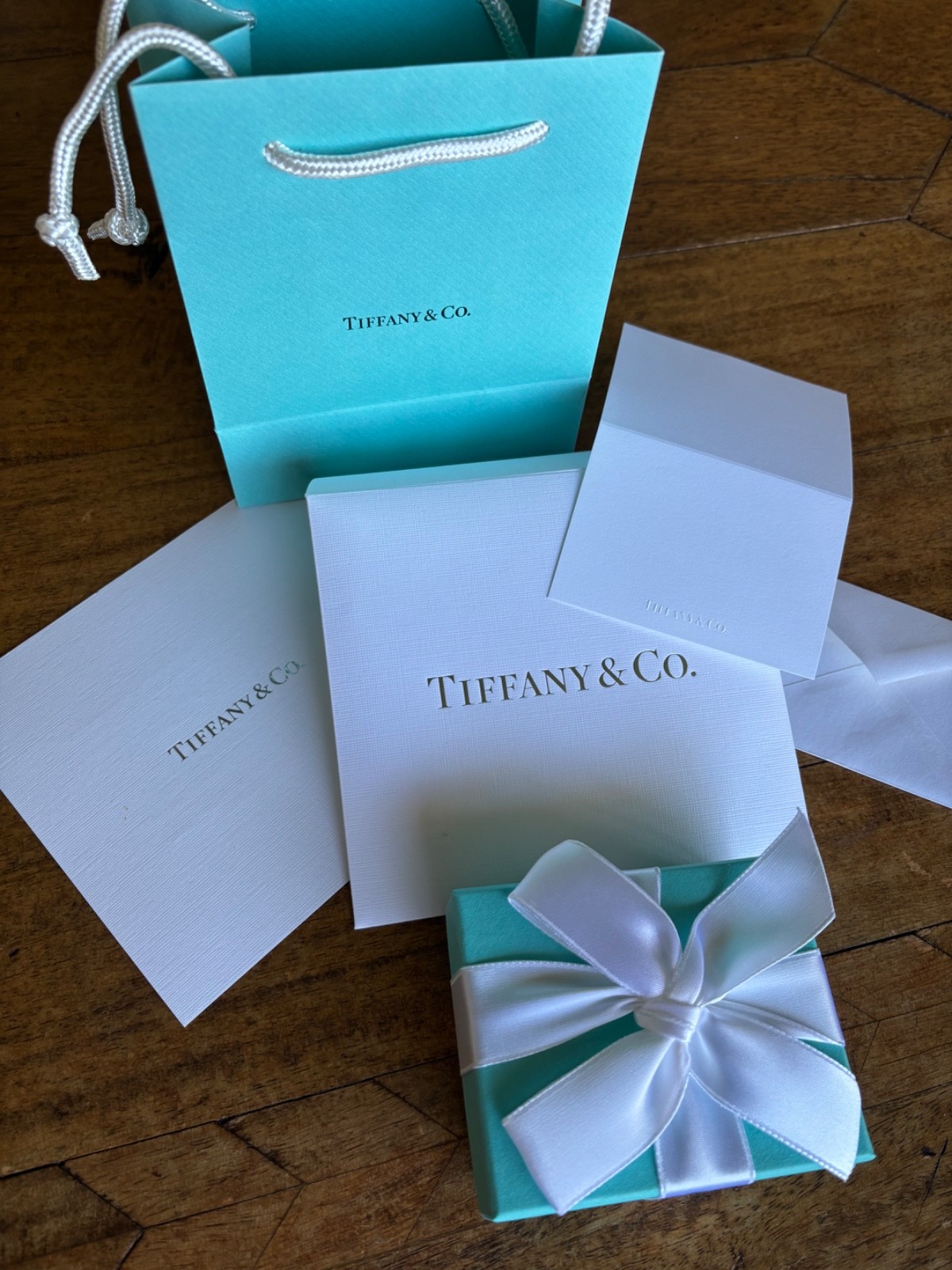 Tiffany & Co brand new 24″ silver chain with dog-tag