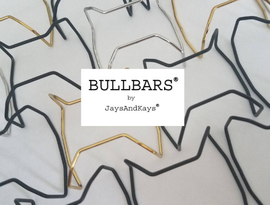 JaysAndKays® BULLBARS® for Casio G-Shock GW9400 Rangeman PVD Wire Guards 9400