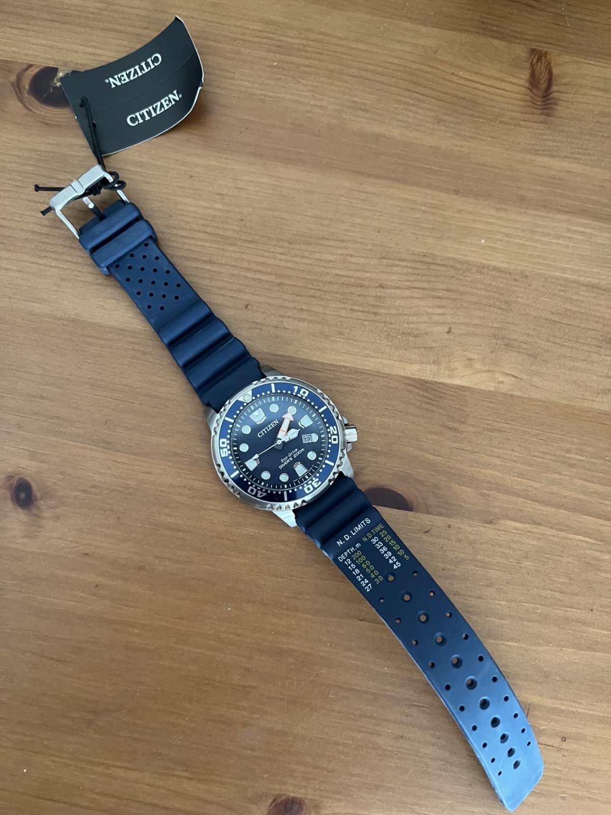 Citizen Promaster Diver Men’s Eco Drive Watch