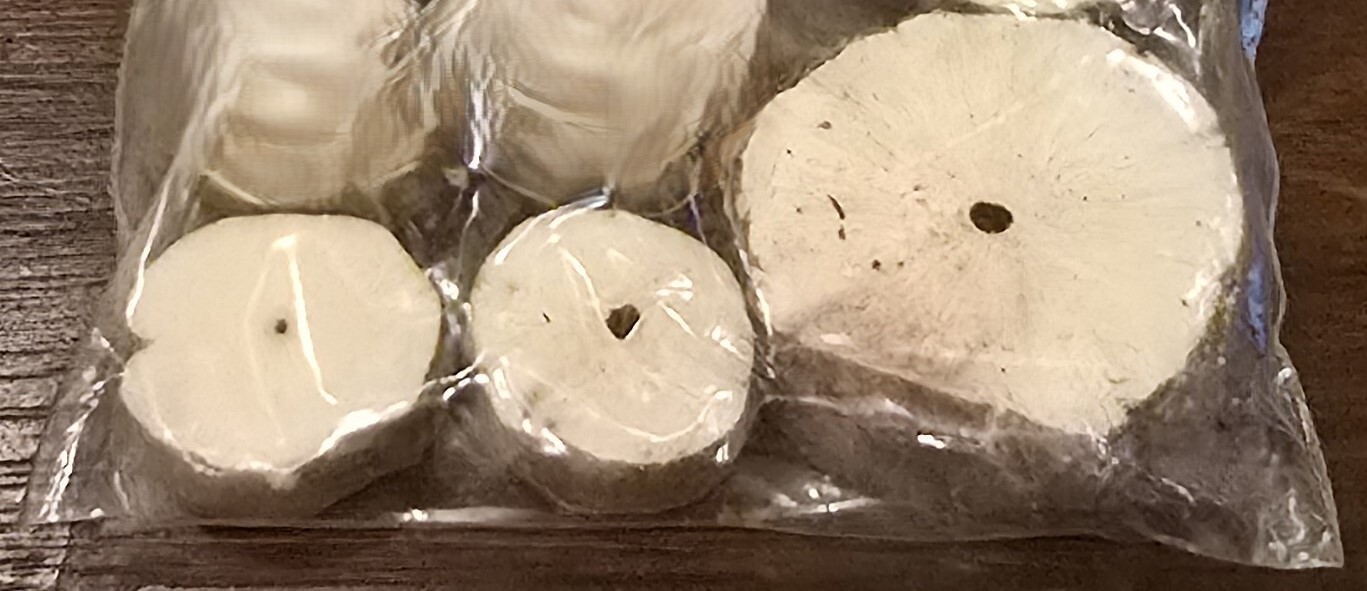 Pith Wood – Sticks/Buttons – USA SELLER