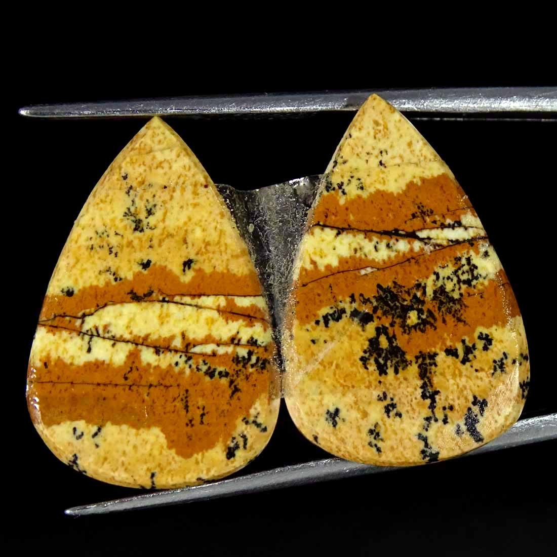 21.50Cts Natural Picture Jasper Cabochon Loose Gemstone Pair 15x23x4mm Pear