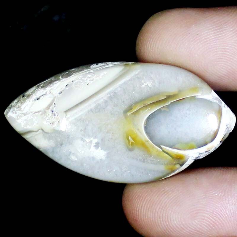111.10 CTS. Natural unique Fossil Snail Druzy Cabochon Gemstone 27X51X11mm BC-28