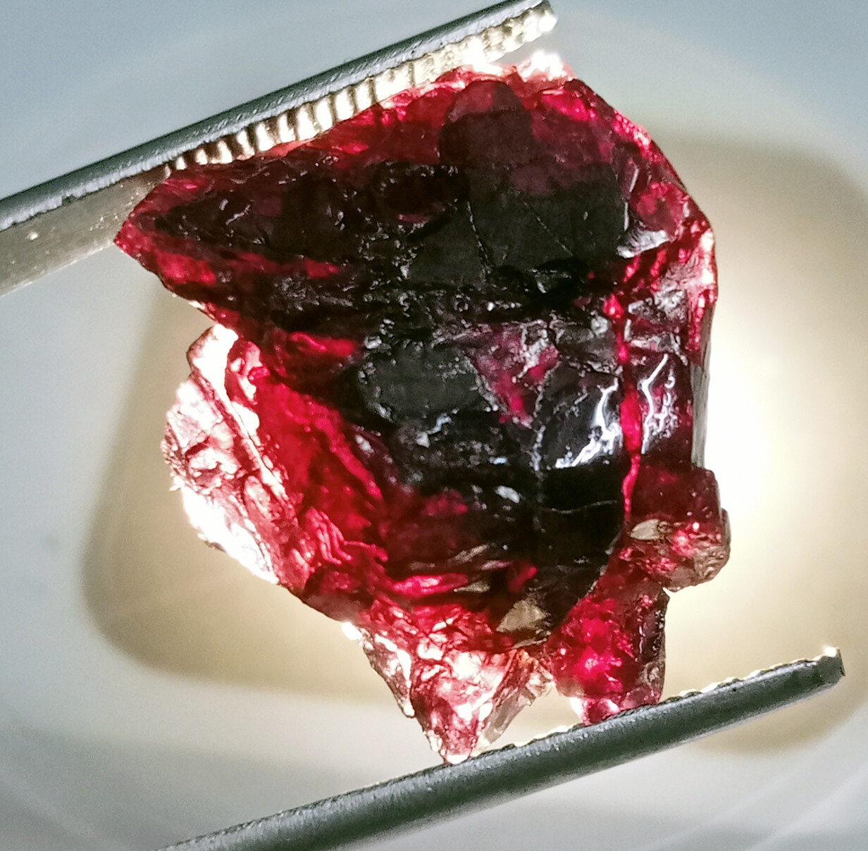 Natural Red Painite Rare Untreated Facet Rough 49.50 Ct Certified Gemstone