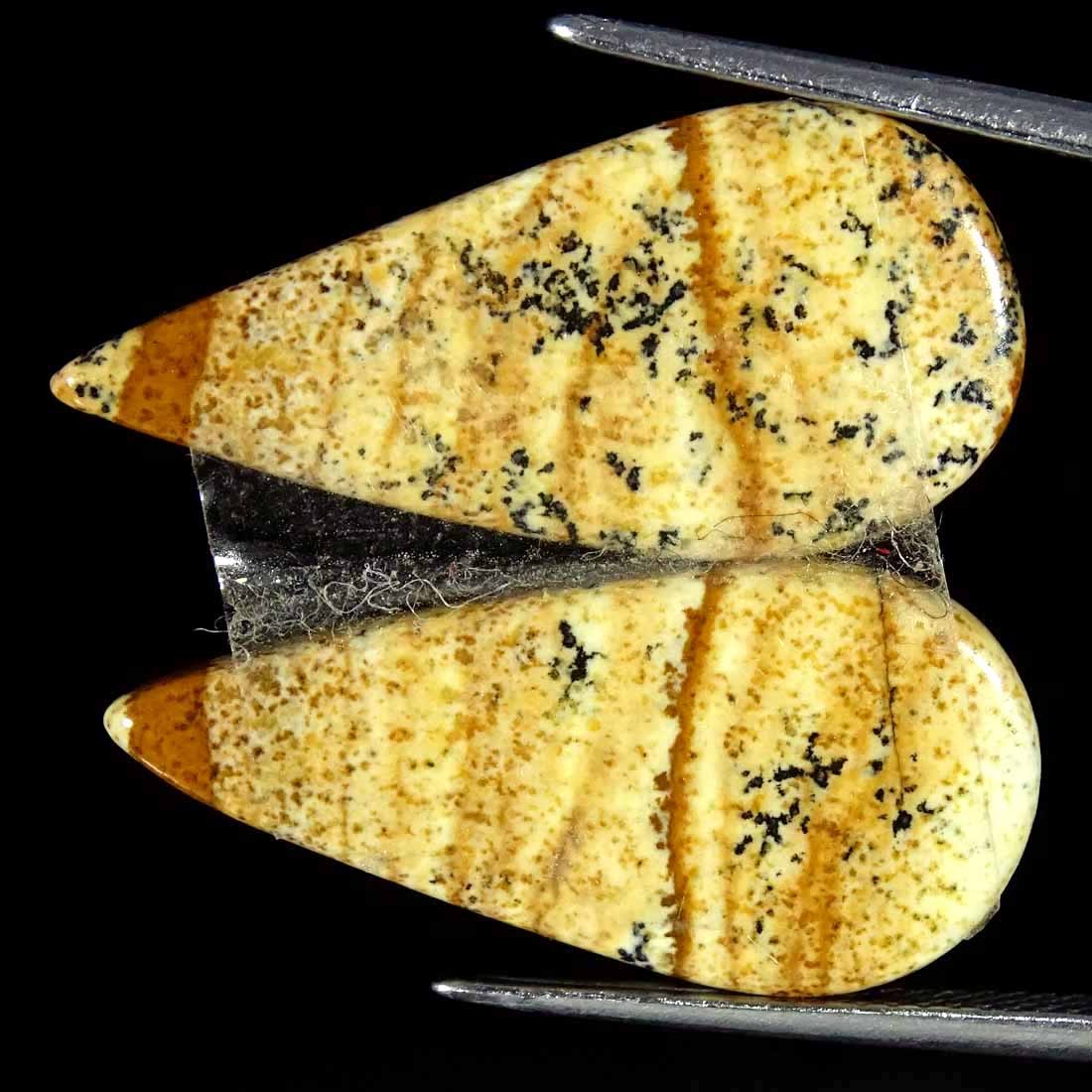 13.80Cts Natural Picture Jasper Cabochon Loose Gemstone Pair 12x25x3mm Pear