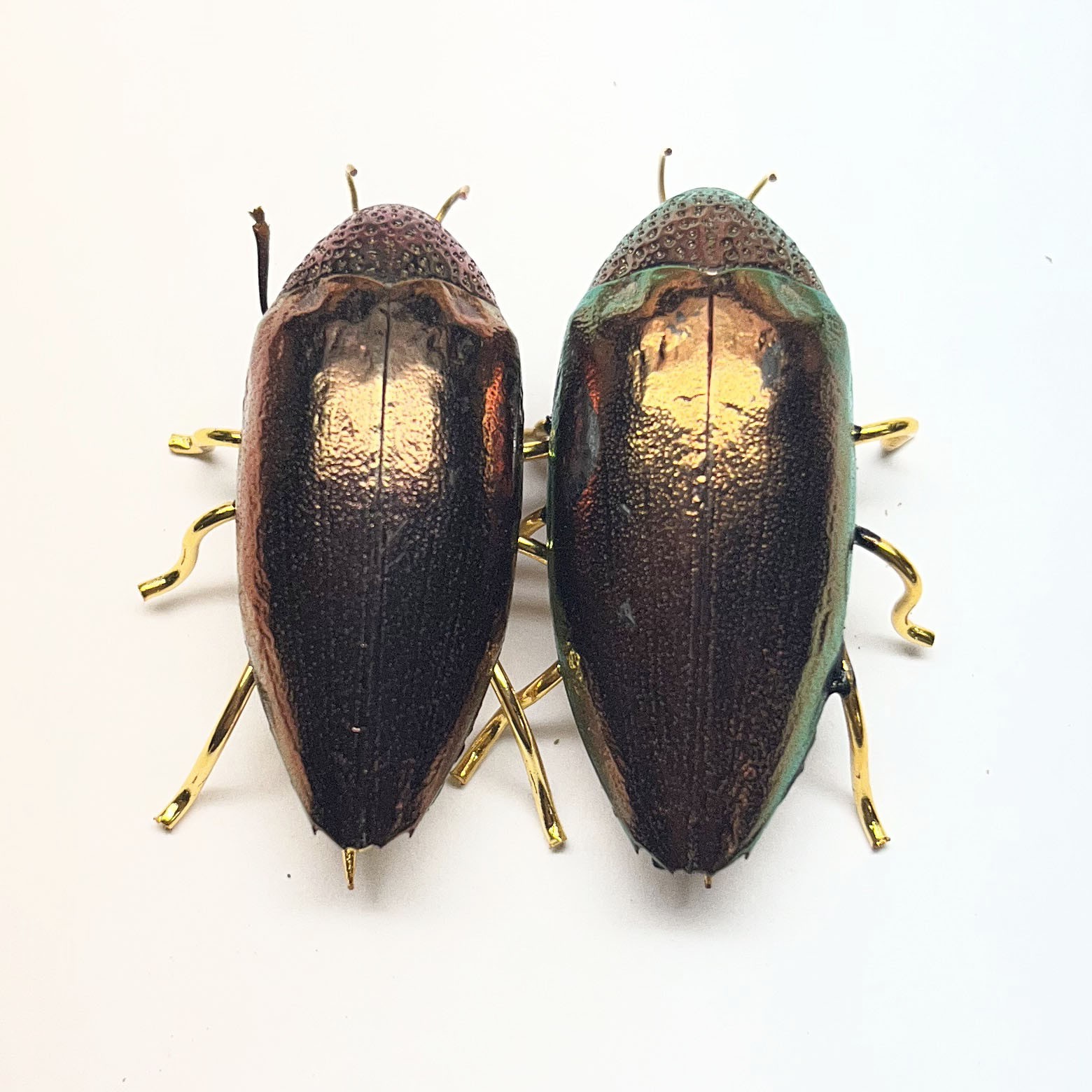 2 cs Red Brown Natural Beetle Pin Brooches Color as Picture