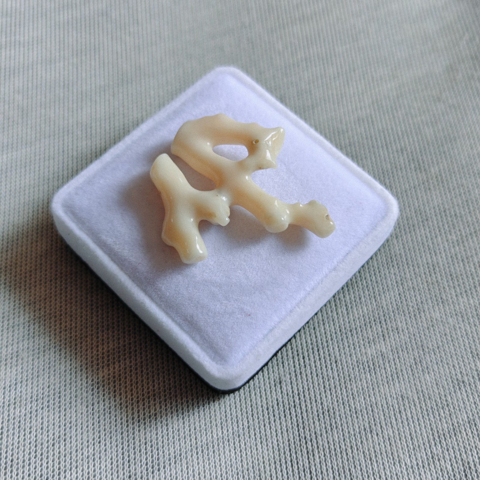 Antique Natural Japanese White Coral Branch Sea Coral Specimen Loose Gemstone