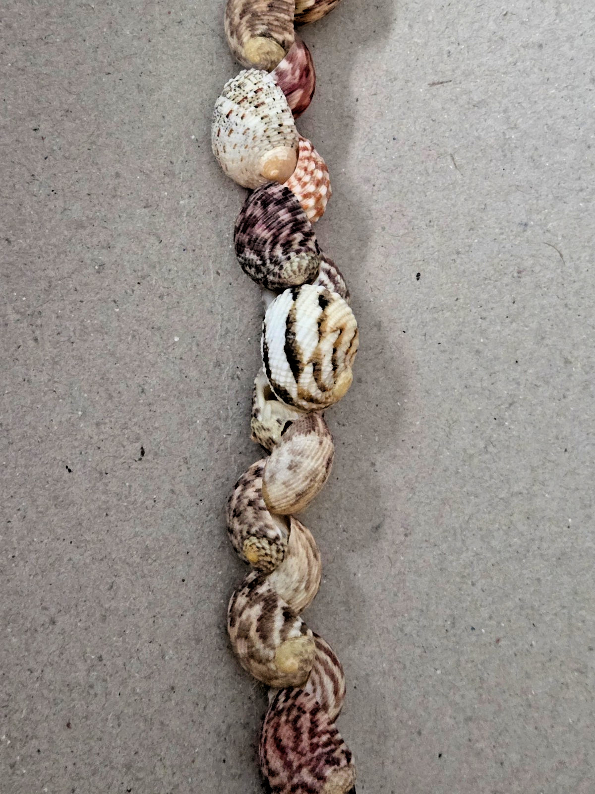 Unbranded – Handmade Natural Seashell Necklace – Snail Shells – 17 inches long