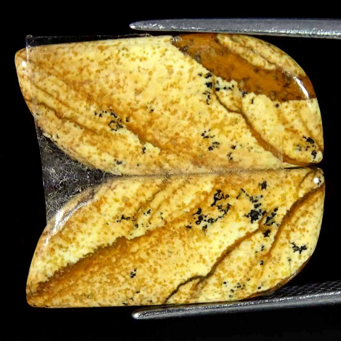 13.80Cts Natural Picture Jasper Cabochon Loose Gemstone Pair 10x23x3mm Fancy