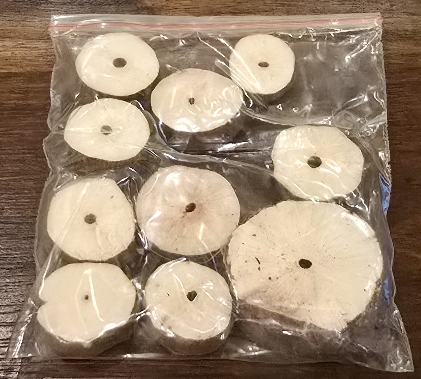 Pith Wood – Sticks/Buttons – USA SELLER