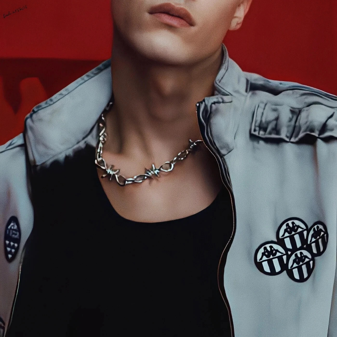 titanium steel Thorns Necklaces Hip-hop Gothic Punk Style Barbed Chain Collar C