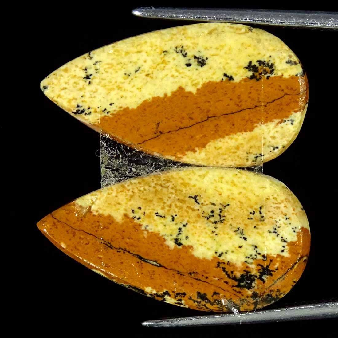 16.10Cts Natural Picture Jasper Cabochon Loose Gemstone Pair 12x22x3mm Pear