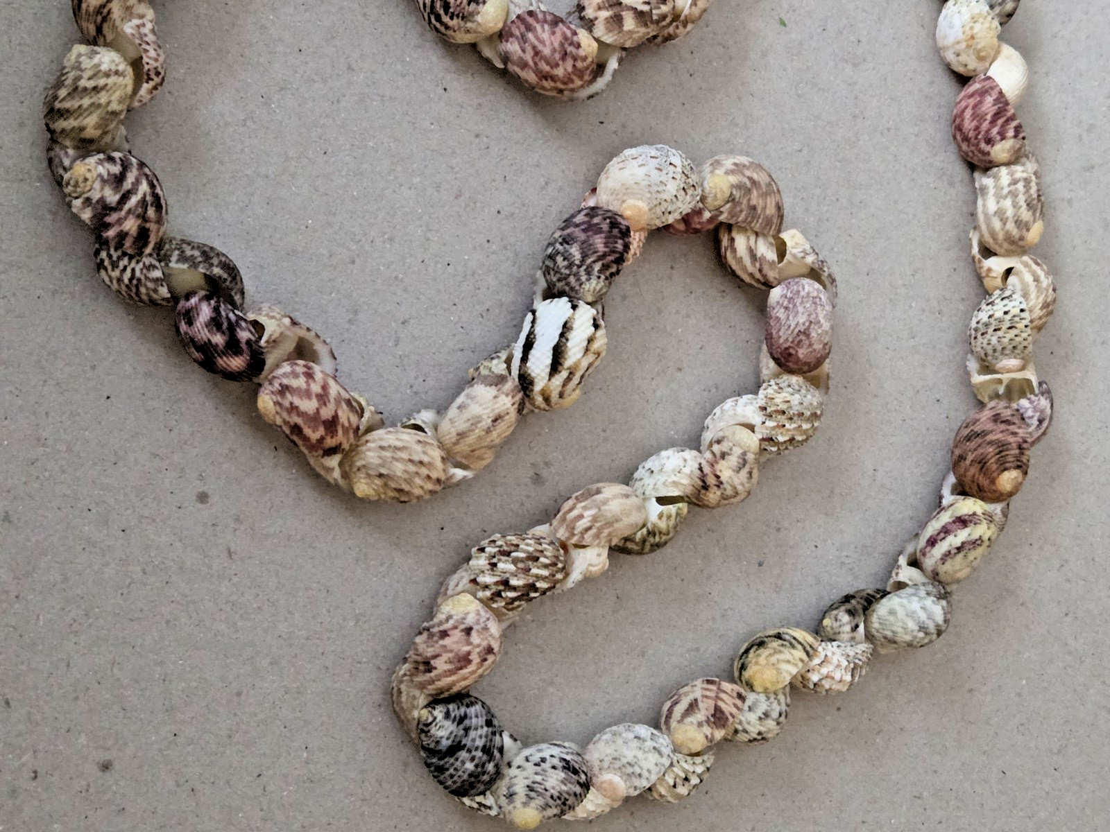 Unbranded – Handmade Natural Seashell Necklace – Snail Shells – 17 inches long