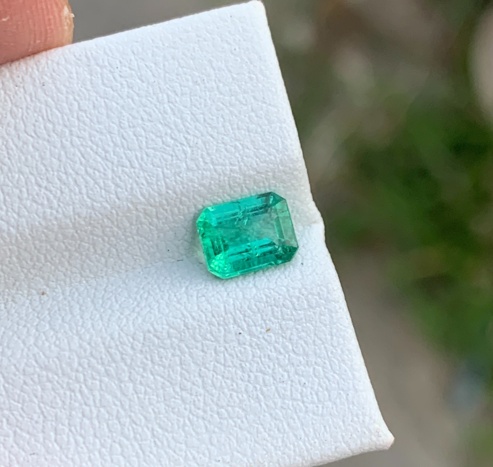 Natural Zambian Emerald 0.785 Ct Octagon Cut Vivid Green Slightly Included