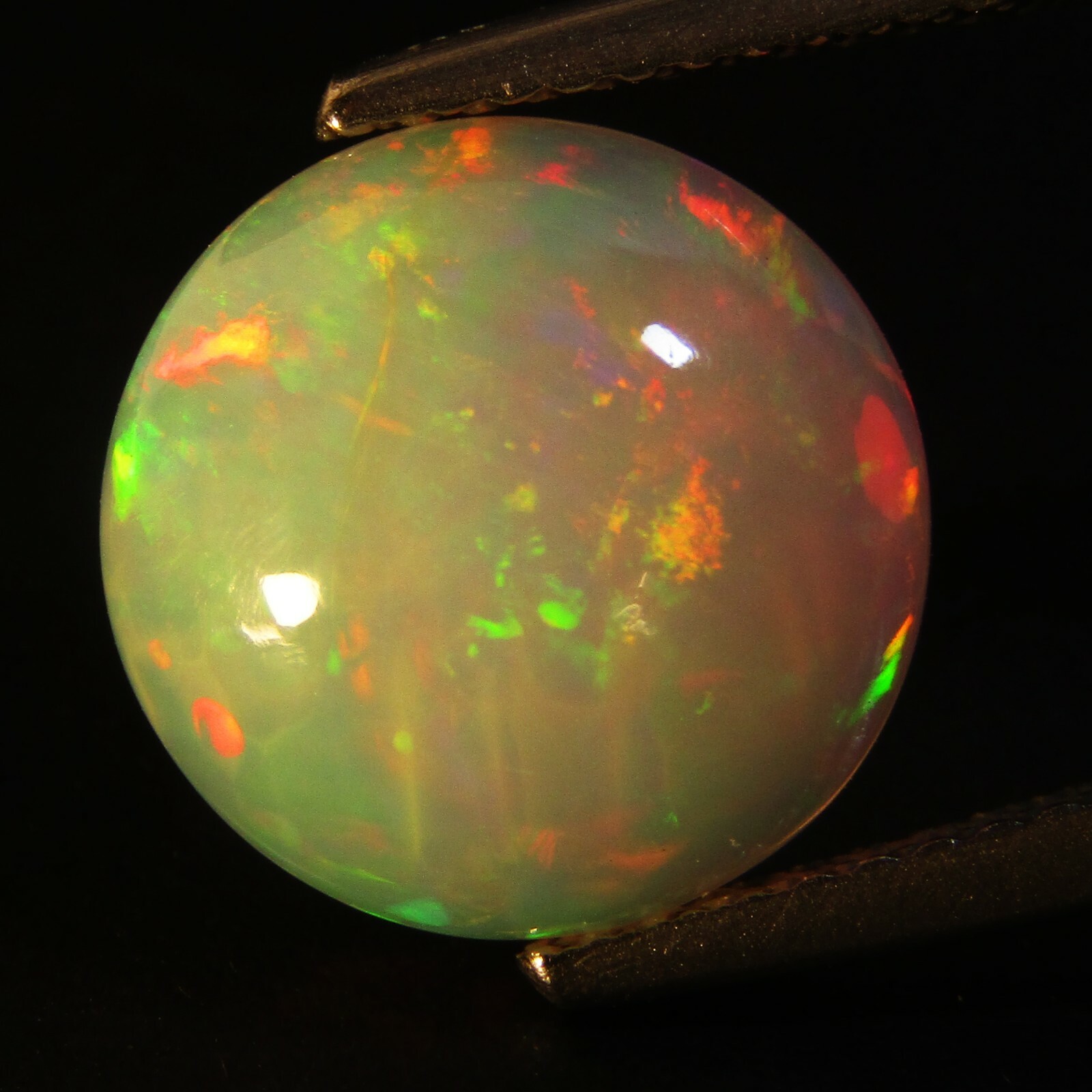3.07Cts Natural Earth Mined Color Play Ethiopian Opal Oval Cabochon Gem Ref VDO