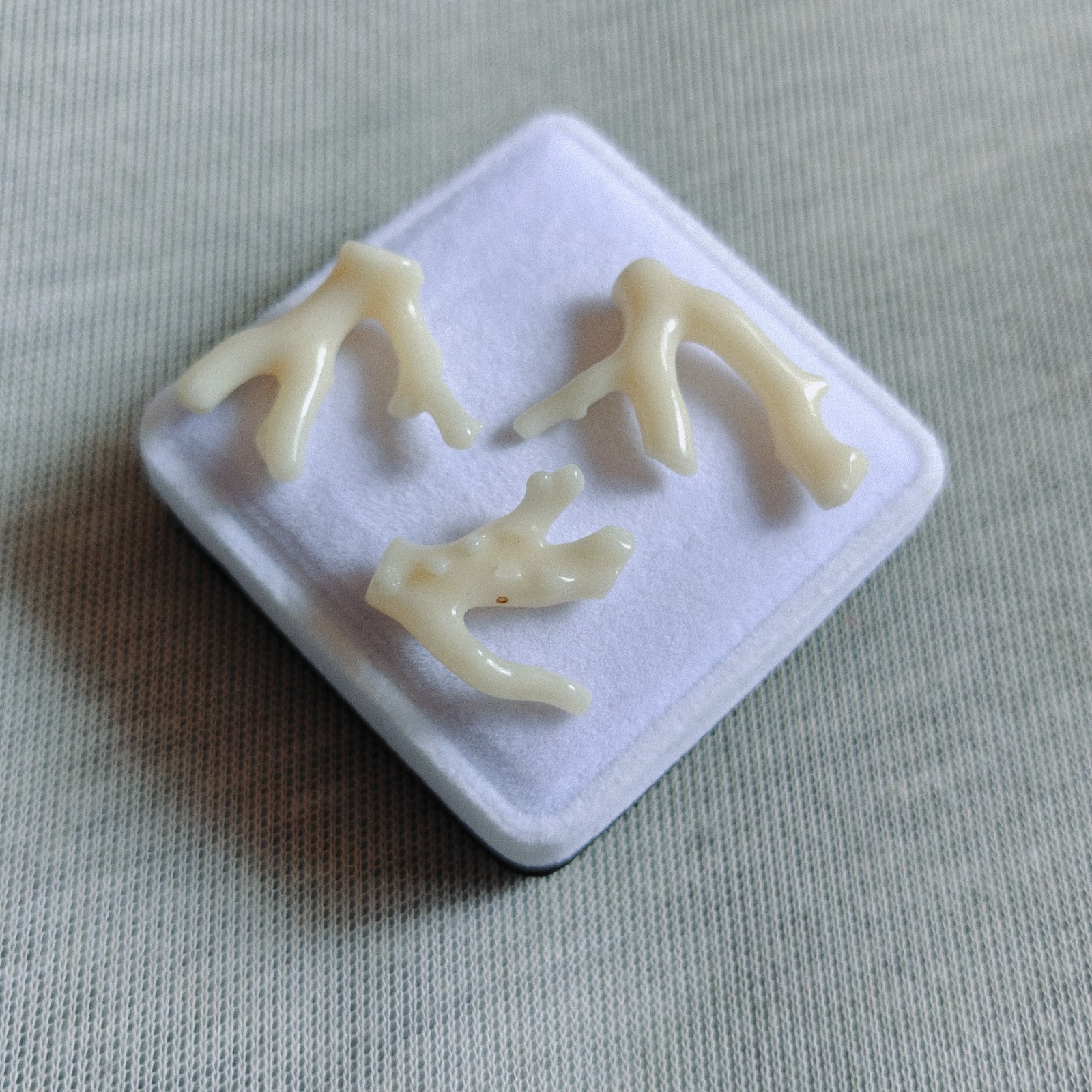 Natural Japanese White Coral Branch Polished Rough Coral Gemstone Specimen