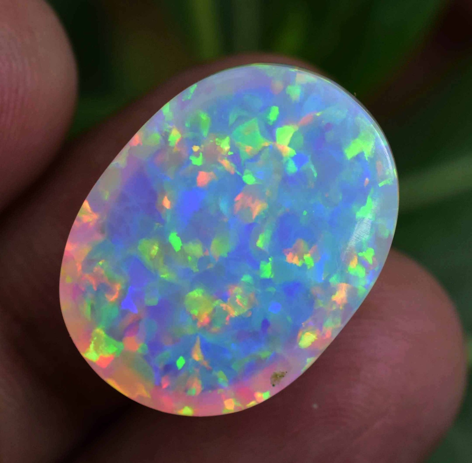 17.85 Ct Natural Ethiopian Fire Opal Certified Play of Color Untreated Gemstone