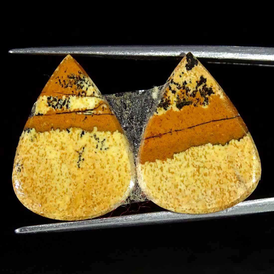15.90Cts Natural Picture Jasper Cabochon Loose Gemstone Pair 14x19x4mm Pear