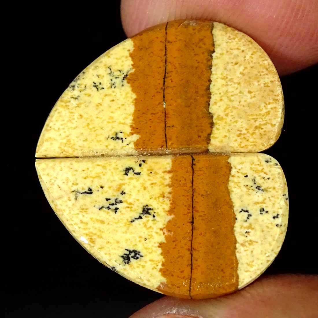 17.80Cts Natural Picture Jasper Cabochon Loose Gemstone Pair 12x22x4mm Fancy
