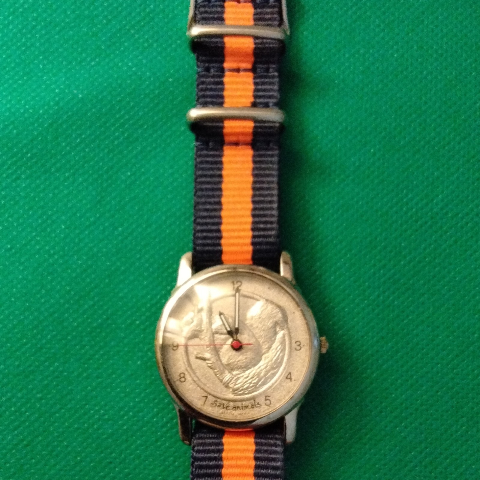 Save the Animals Analog Watch Silver Case Blue/Orange Nylon Strap