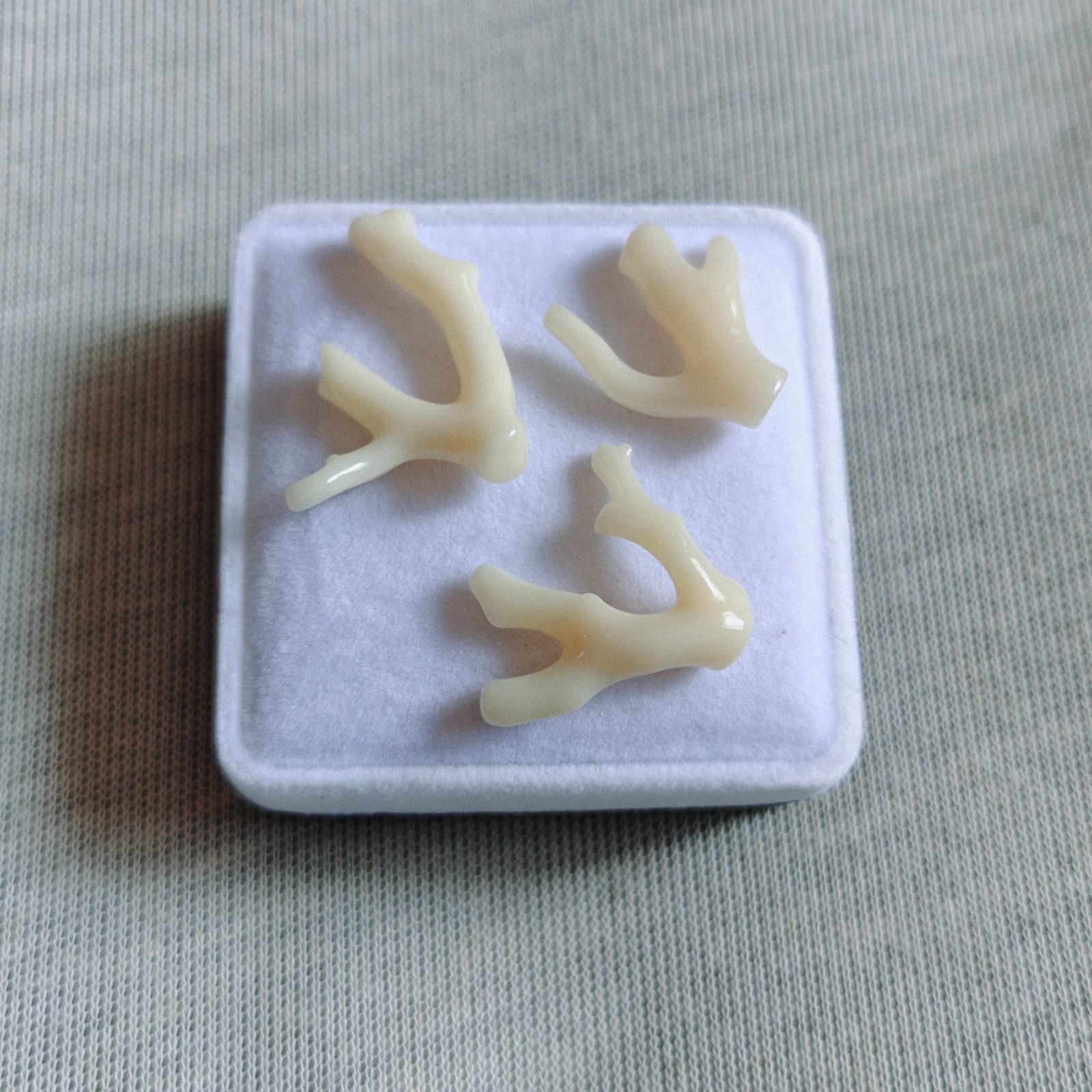 Natural Japanese White Coral Branch Polished Rough Coral Gemstone Specimen