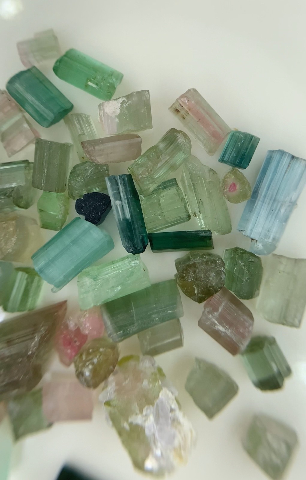 55.8 Ct Natural Afghanistan Multi Color Tourmaline Rough Crystal Gemstone Lot