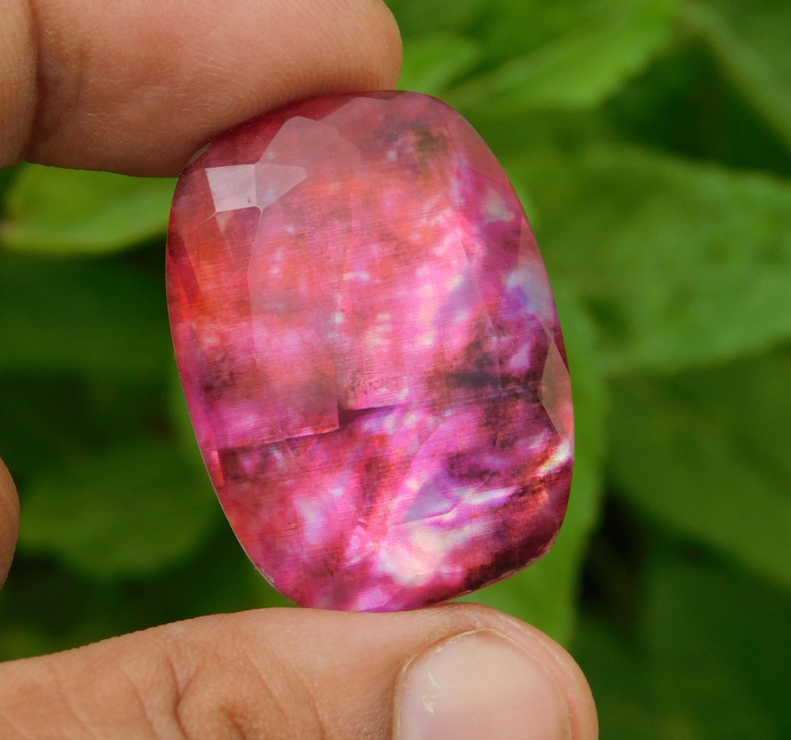 61.00cts. Huge Natural Cushion Canadian Fire Ammolite Loose Gemstone