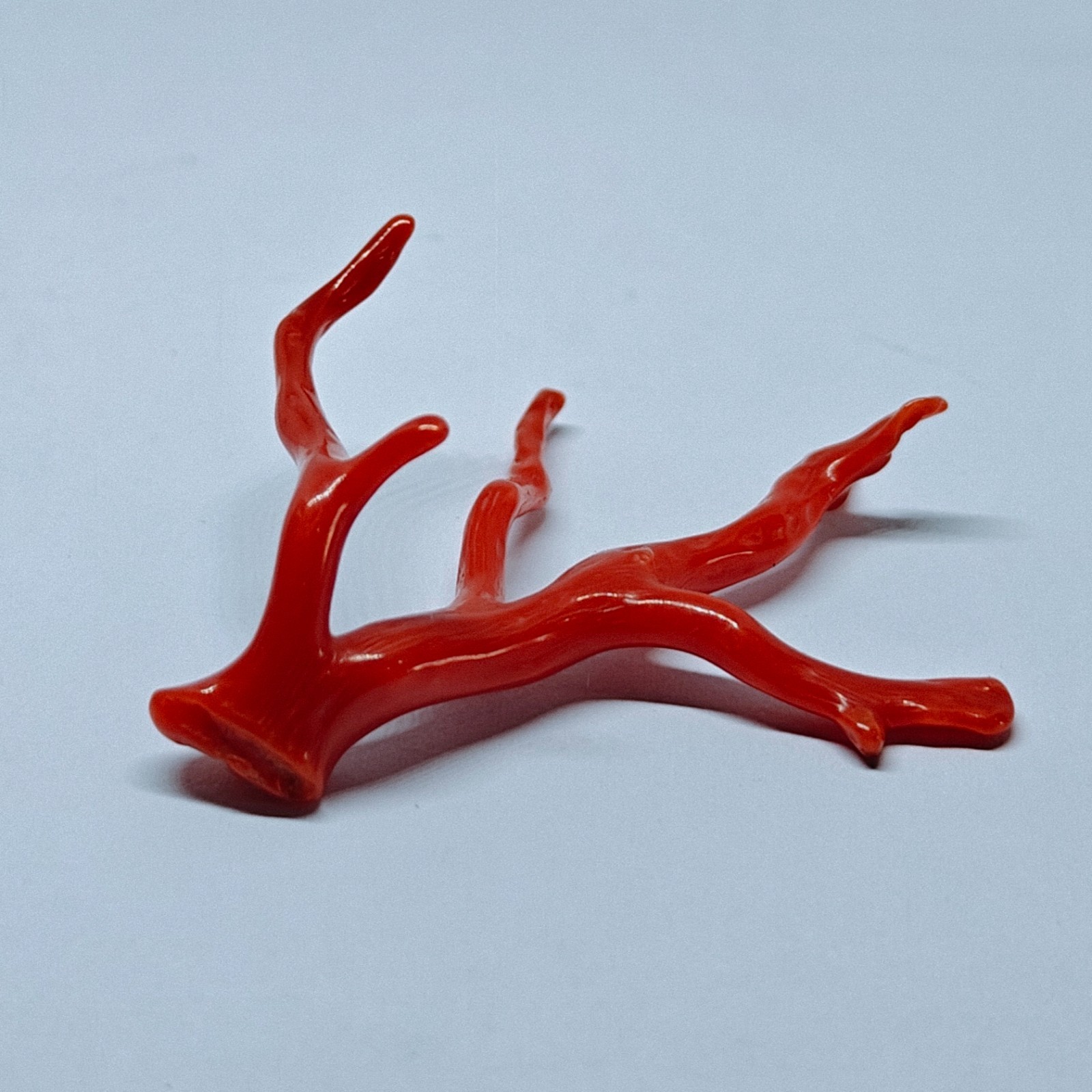 Italy Red Coral Polished Branch Loose Natural Gemstone Rough Mediterranean 18 Ct