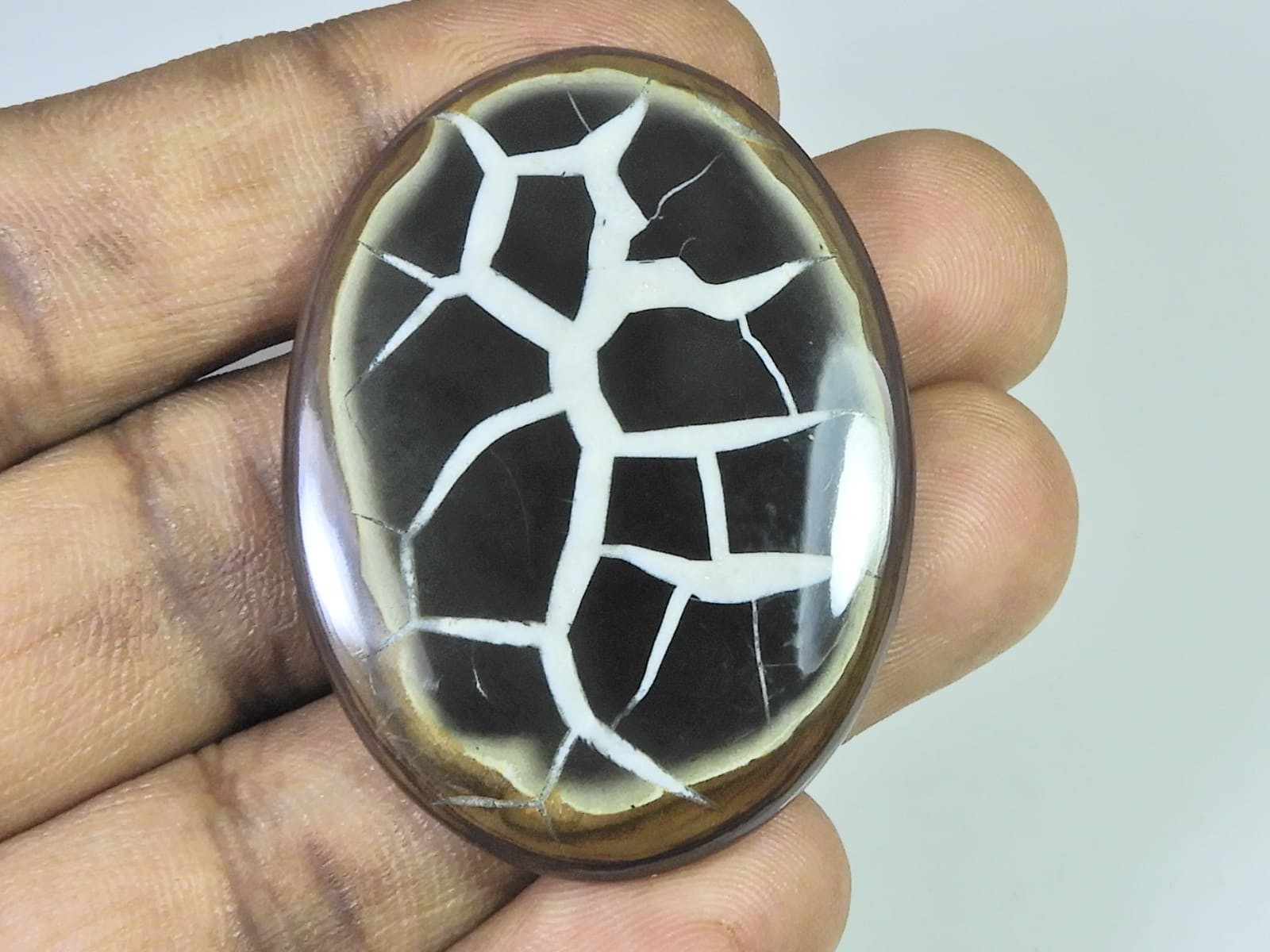 87Cts.Natural Septarian Gronates Oval Cabochon Loose Gemstone 34X46X05 MM