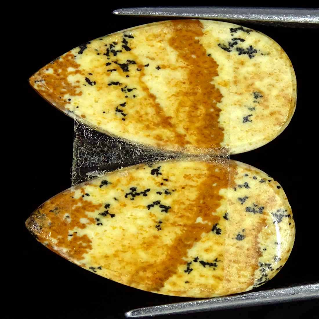 16.90Cts Natural Picture Jasper Cabochon Loose Gemstone Pair 12x23x3mm Pear