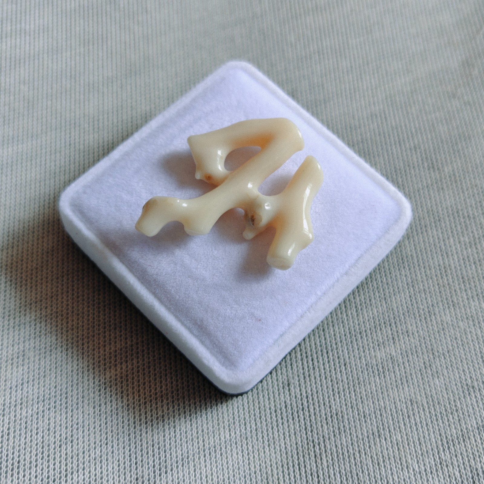Antique Natural Japanese White Coral Branch Sea Coral Specimen Loose Gemstone