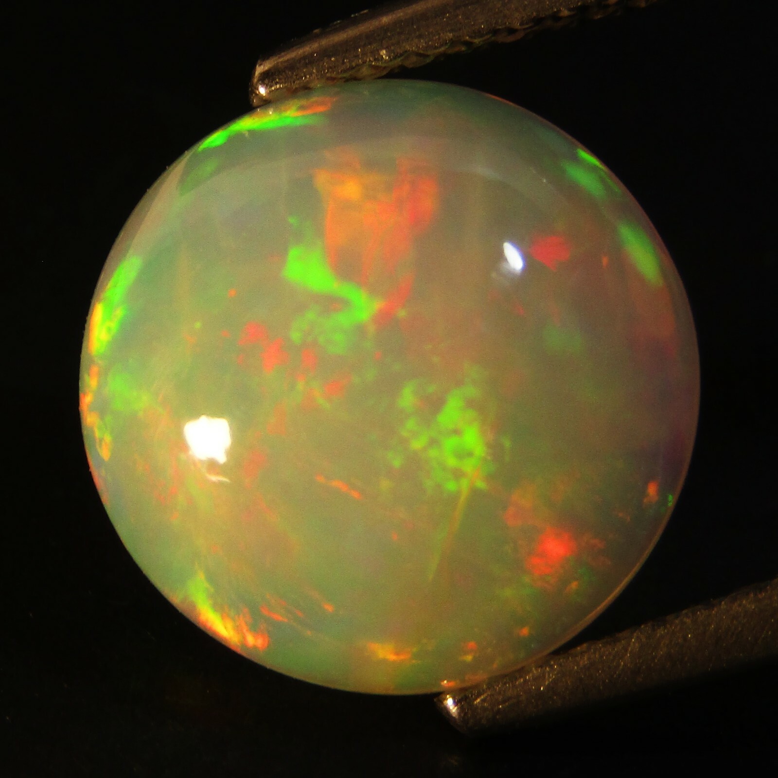 3.07Cts Natural Earth Mined Color Play Ethiopian Opal Oval Cabochon Gem Ref VDO