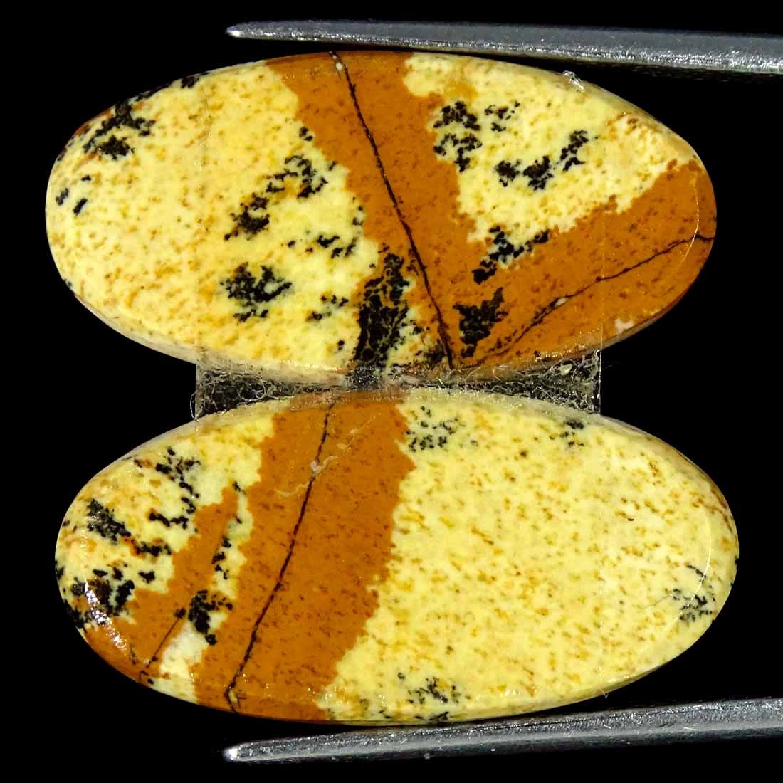 17.10Cts Natural Picture Jasper Cabochon Loose Gemstone Pair 11x23x4mm Oval