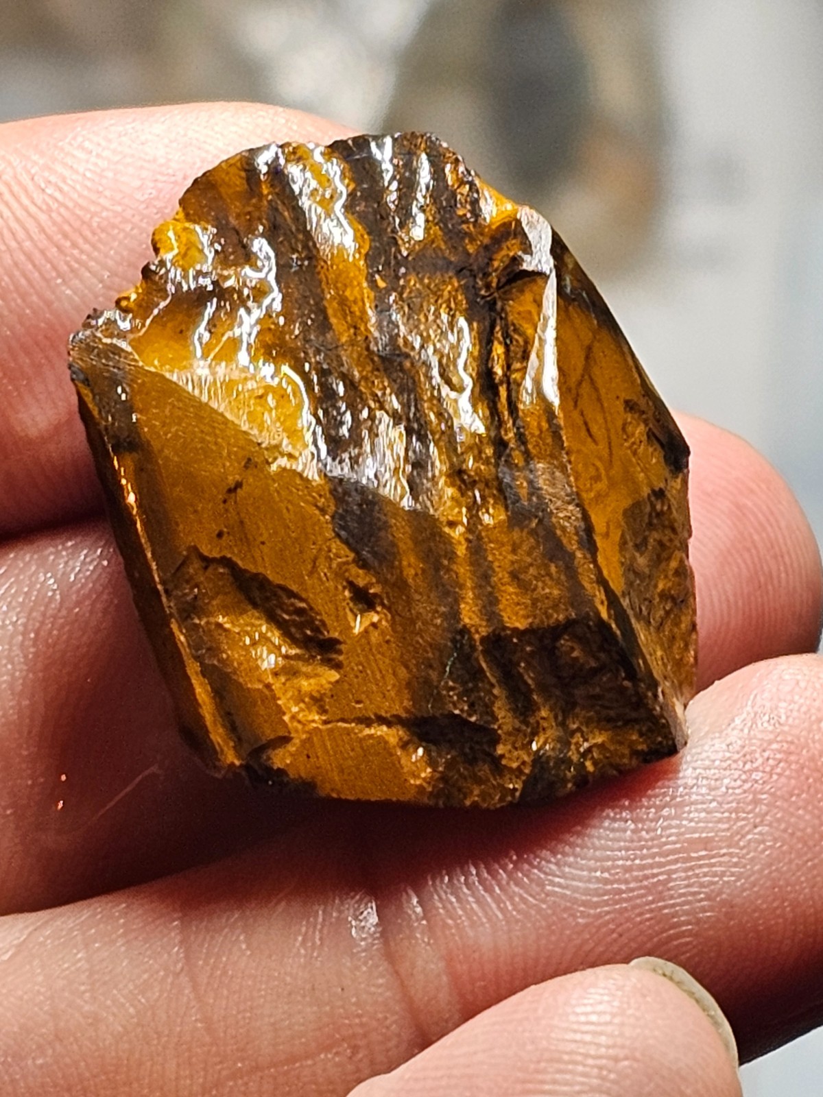 87 cts Australian Boulder Rough opal Gamble stone Partially shaped rubbed stone
