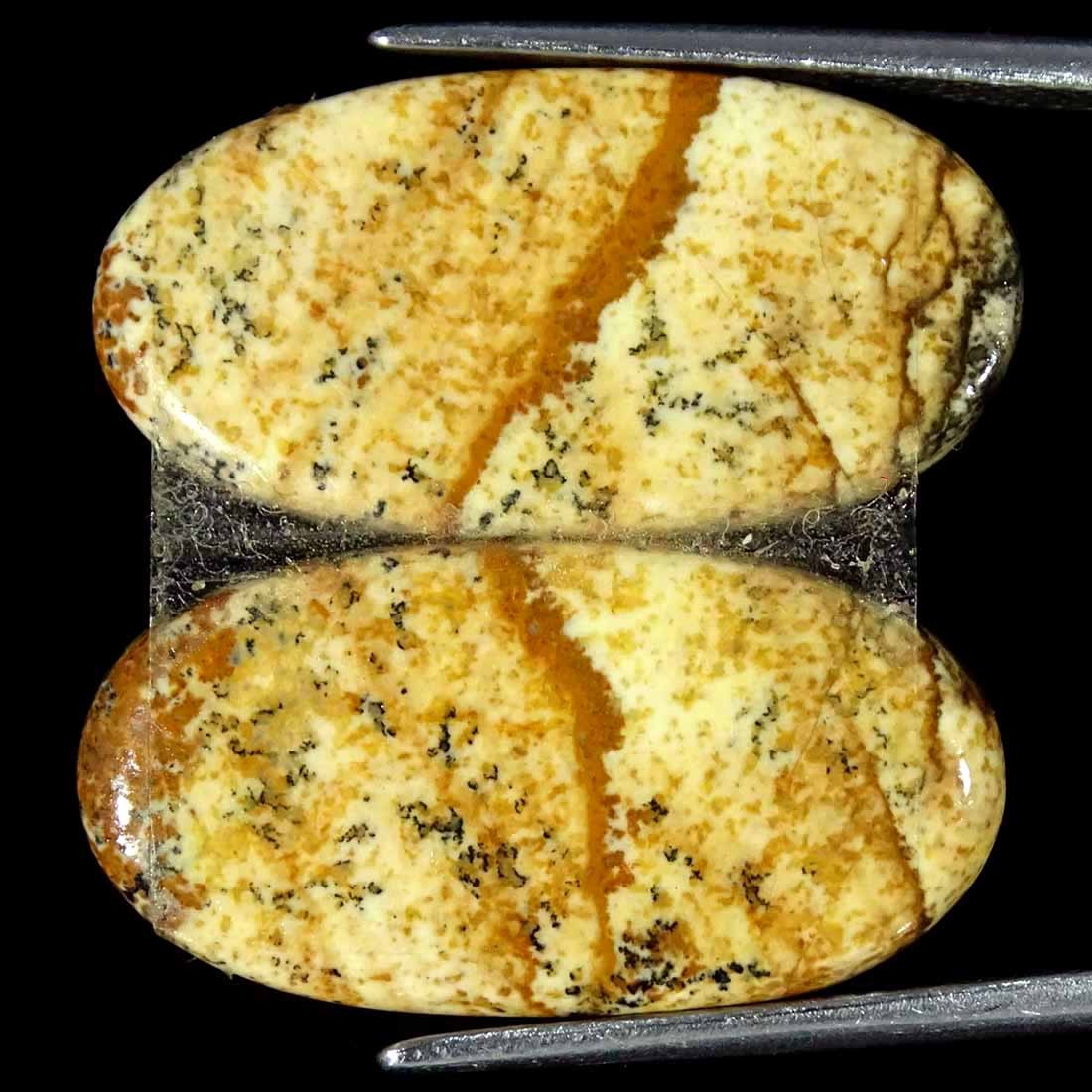 15.50Cts Natural Picture Jasper Cabochon Loose Gemstone Pair 11x22x3mm Oval