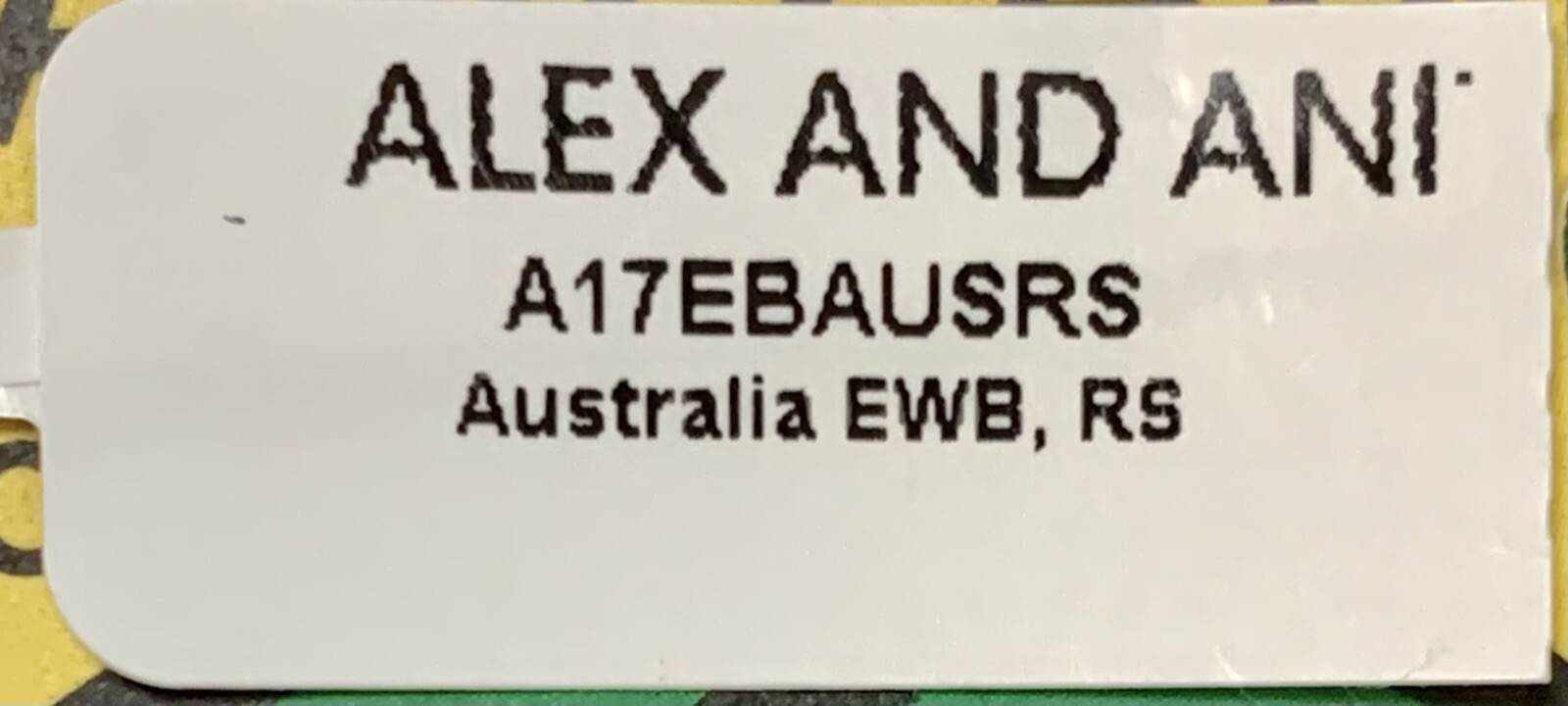 Alex and Ani AUSTRALIA Silver Charm Bangle Bracelet THE Great Outback Kangaroo