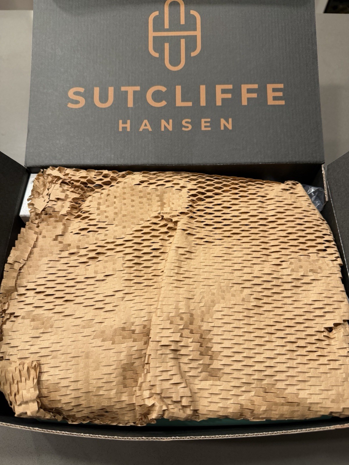 Sutcliffe Hansen Complete Watch Repair Kit