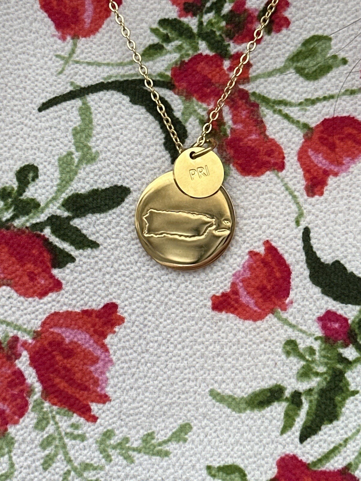 Armenia ARM Country Necklace Charm LDS Sister Missionary Mom Wife Statesman Ties