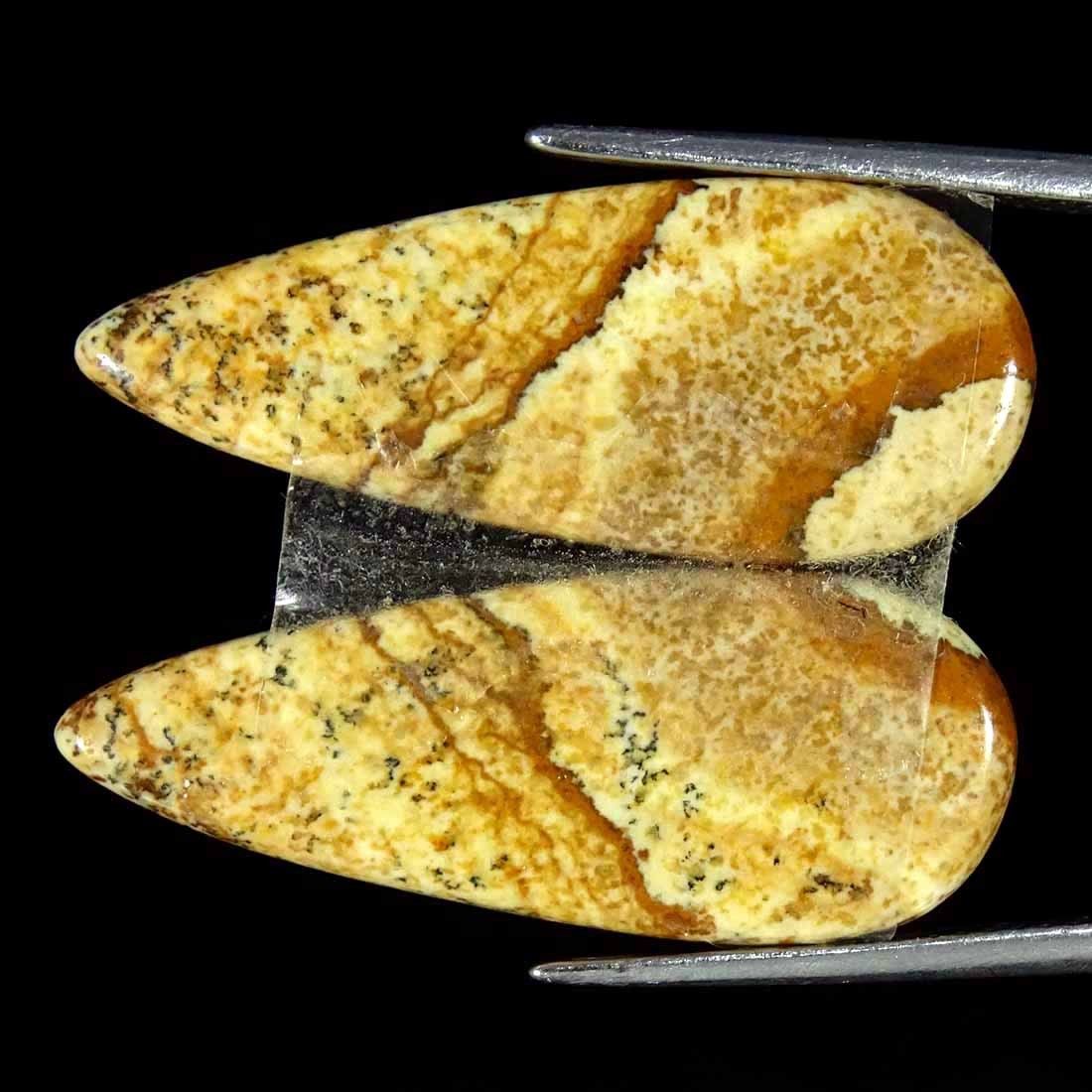 14.60Cts Natural Picture Jasper Cabochon Loose Gemstone Pair 11x26x3mm Pear