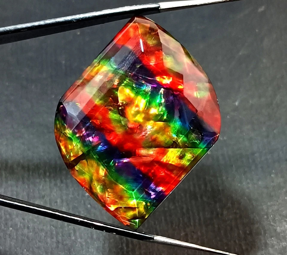 60 Ct Natural Ammolite Fancy Opal-Like Organic Doublet Rare Loose GEMSTONE